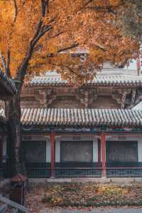 薊州新開業侘寂風民宿｜像秋天裡的散文詩。