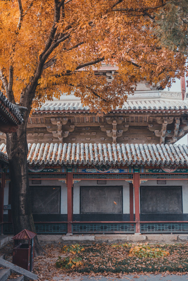 薊州新開業侘寂風民宿｜像秋天裡的散文詩。
