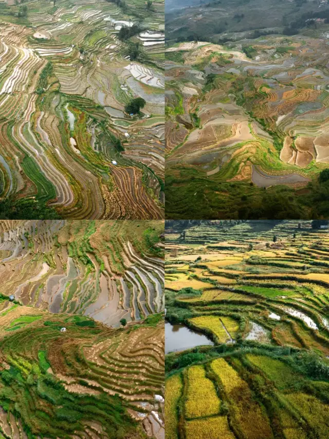 원양 계단식 논, 하니족의 천년 낭만.