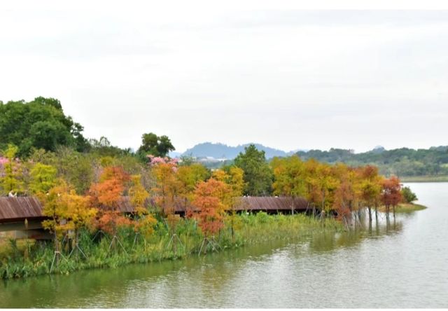 夏日限定！探索深圳梅沙尖的美景！