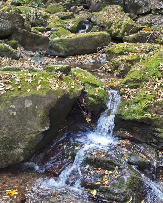 秋日遊玩觀賞聖地——哈爾濱香爐山。