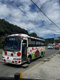 Renting a Pumpkin Car for a Day on Naoshima