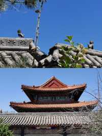 白洋淀文華苑探秘：嘎子村與雁翎隊紀念館之旅。