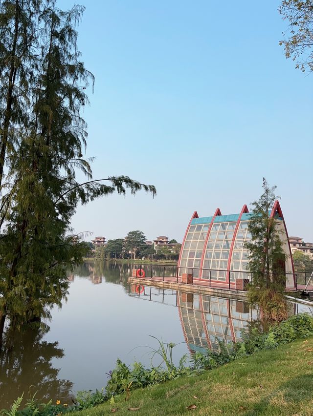 不在奈良！在佛山！無濾鏡！仙境般的莫奈花園。