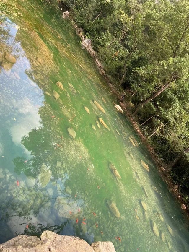 2天玩遍溫州 不住後悔系列