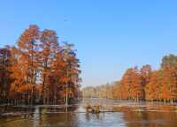 南京池杉湖濕地公園～最佳觀賞路線