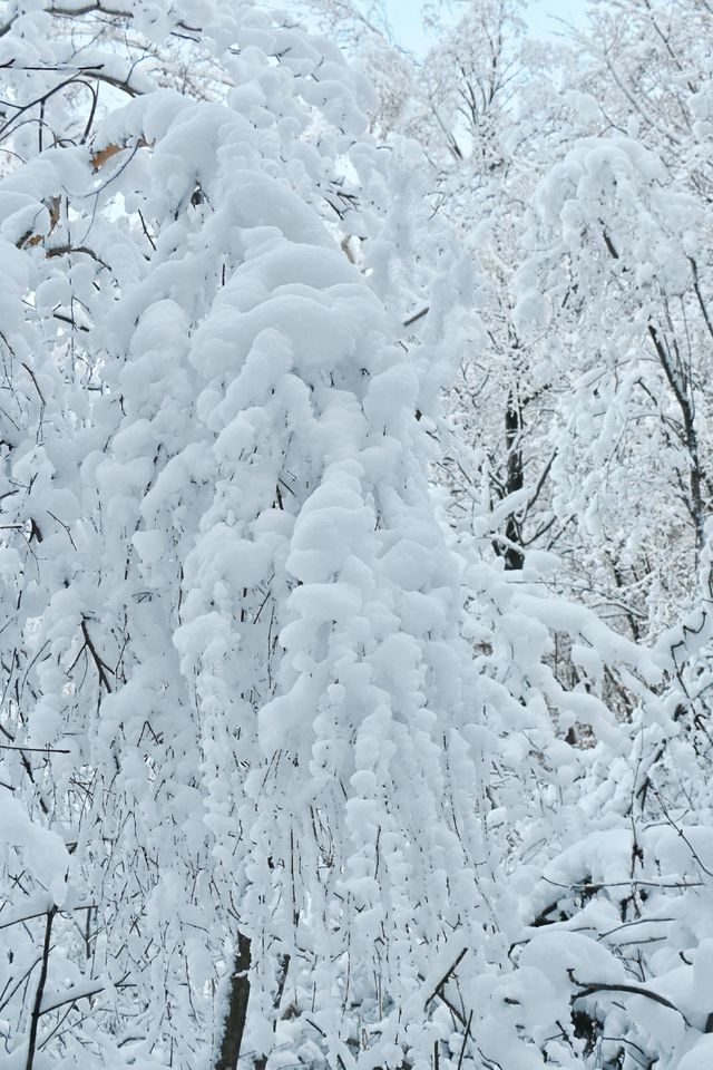 撫順