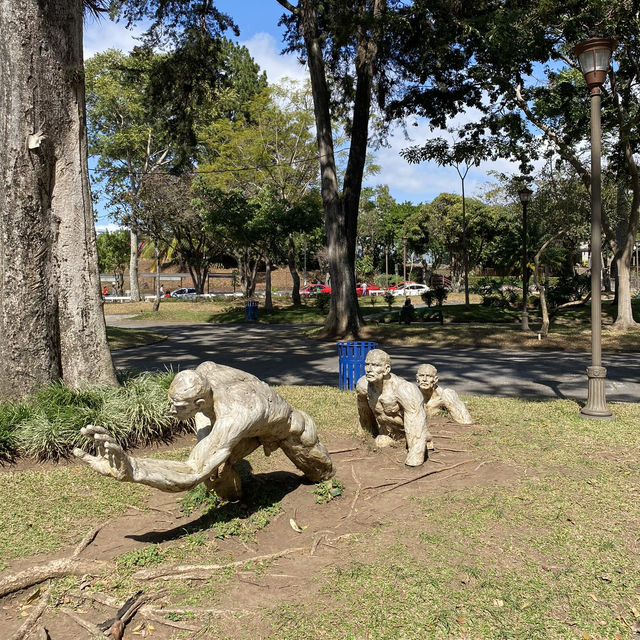 San José, Costa Rica 🌎