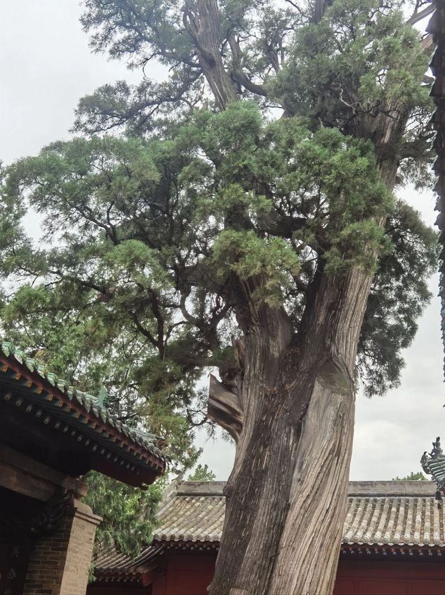 運城關帝祖祠|關公家廟