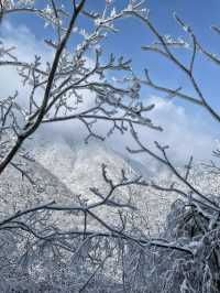 秦嶺雪國專列：邂逅冬日奇境的夢幻車票