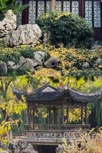 游玩江南園林｜南京愚園