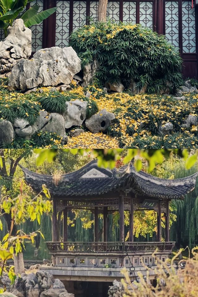 游玩江南園林｜南京愚園