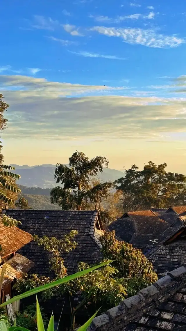 Jingmai Mountain is quiet and peaceful