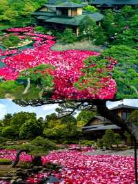 日本松江市由志園