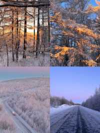 當 pink blue hour 遇上阿爾山的霧凇！！