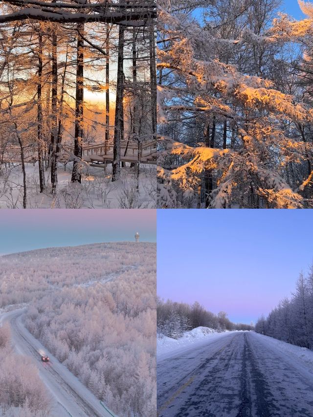 當 pink blue hour 遇上阿爾山的霧凇！！