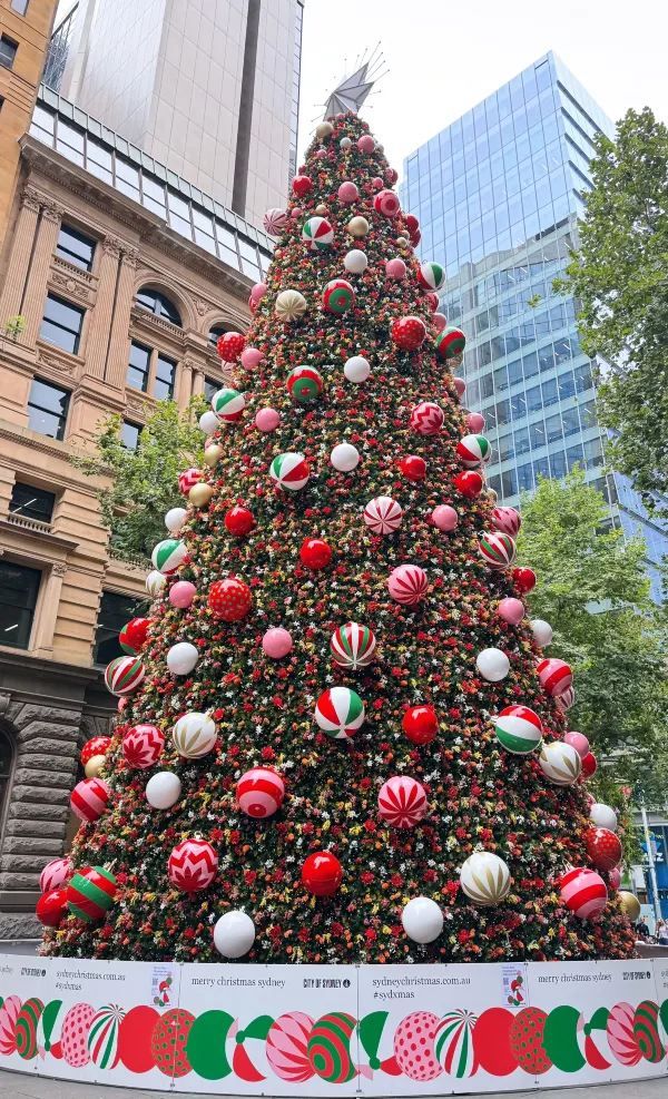 Martin Place in Sydney is a must-see for its Christmas tree.