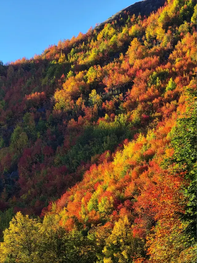 뉴질랜드 3일 투어 필수 관광지 총정리