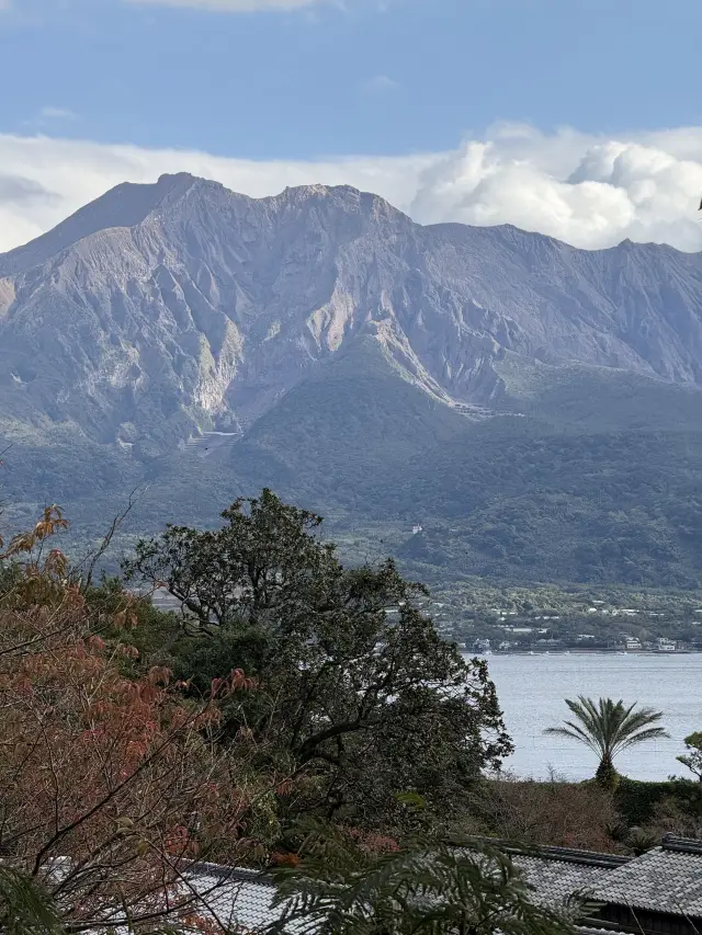 5天玩轉日本 超詳細攻略來襲