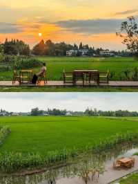 新都隱秘桃源是你的理想院子嗎