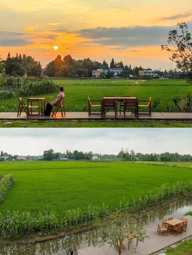 新都隱秘桃源是你的理想院子嗎