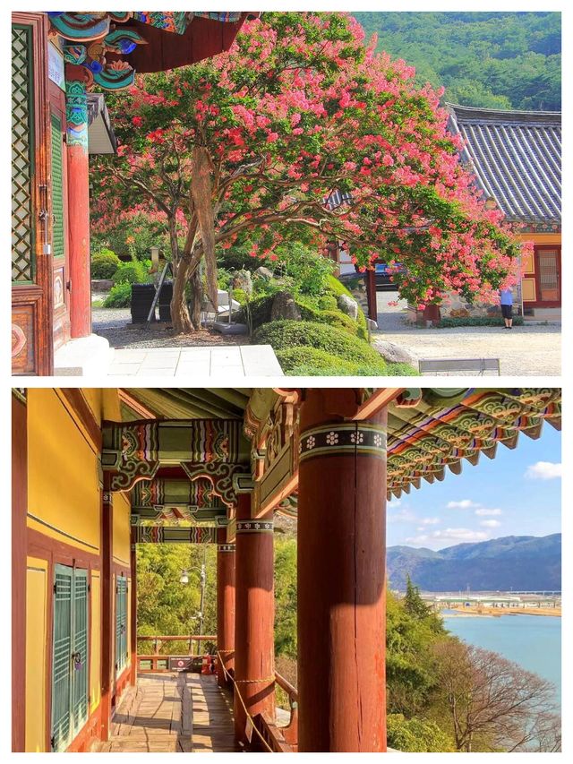 歡迎來到密陽，感受韓國的文化與自然之美