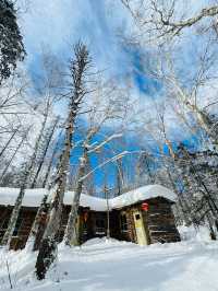 2日暢遊雪鄉等地 真溫泉洗禮心靈不踩坑