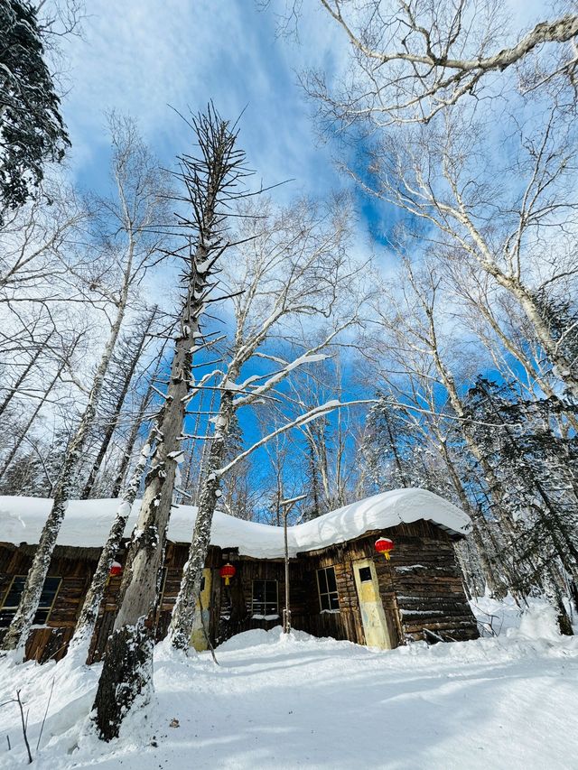 2日暢遊雪鄉等地 真溫泉洗禮心靈不踩坑
