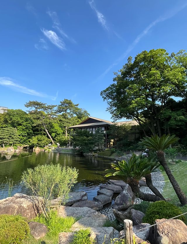 我在名古屋的寶藏發現｜德川園，每一步都是驚喜的園林之旅