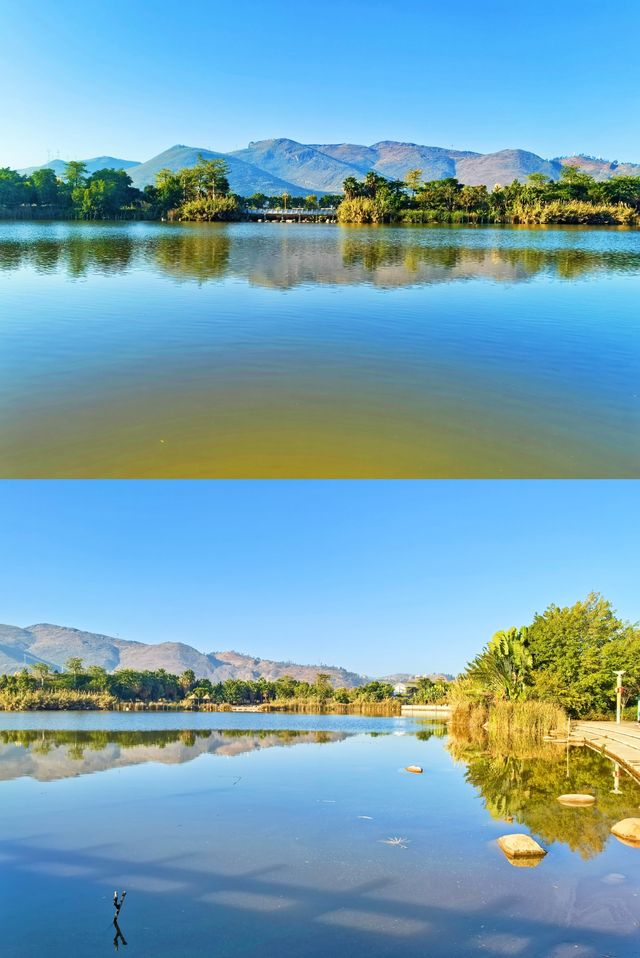 元謀鳳凰湖公園