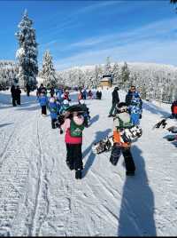Experience the Thrill of Mt Seymour Skiing with 50% Off