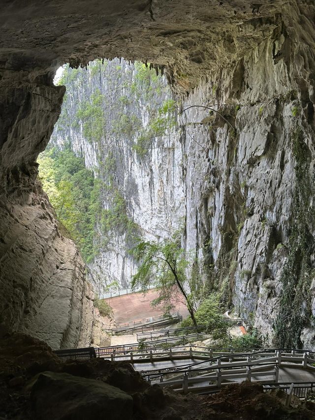 百色·1466露營地風景美是美，但是……