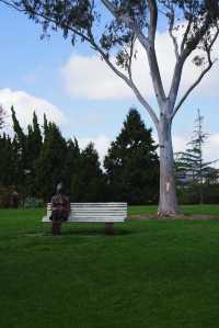Explore the Auckland Botanic Garden This Spring