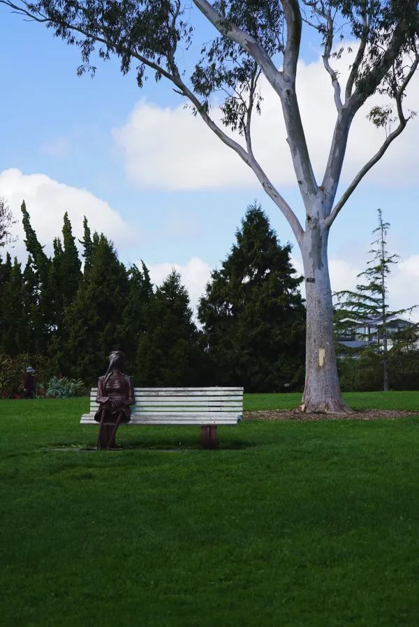 Explore the Auckland Botanic Garden This Spring