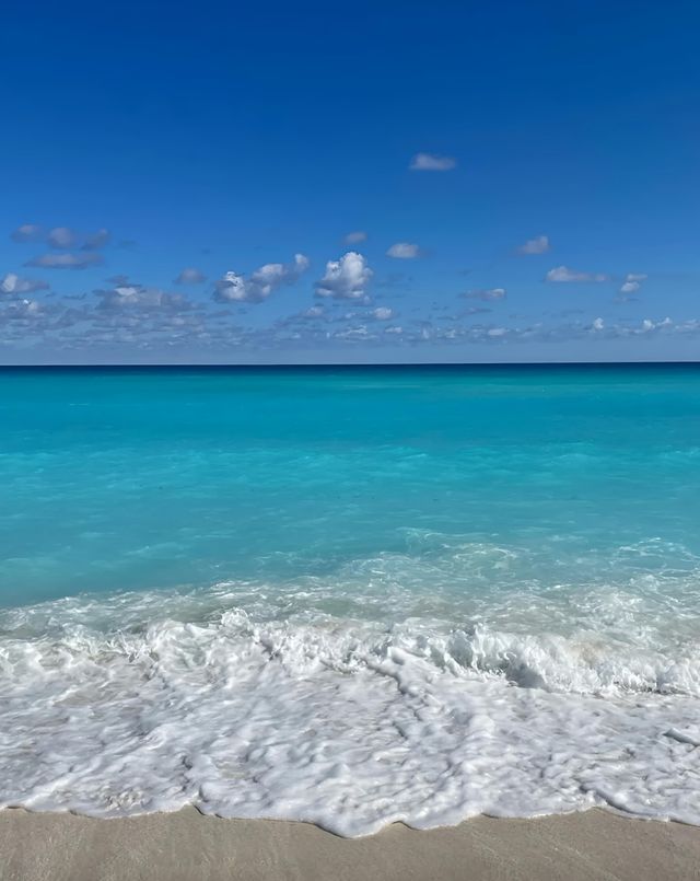 探秘坎昆海豚海灘｜這片藍，足以讓你心潮澎湃