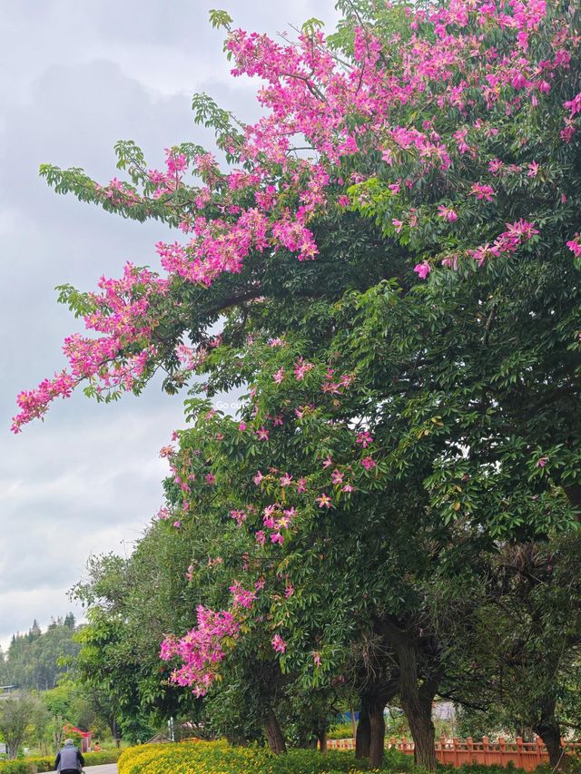 雲南石屏，低調奢華有內涵的地方！