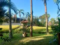 烏布度假首選 | Adiwana Bisma  Adiwanda Bisma 地址：Jl. Bi