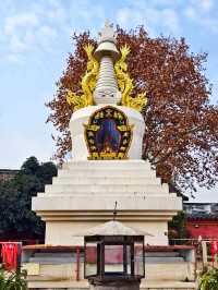 青白江區    城廂壽佛寺