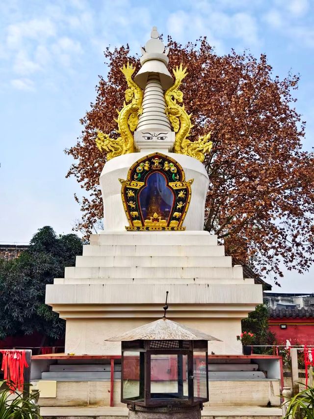 青白江區    城廂壽佛寺