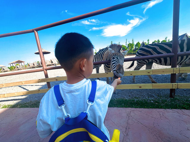 【南通森迪】住在動物園裏，來了就不想回家