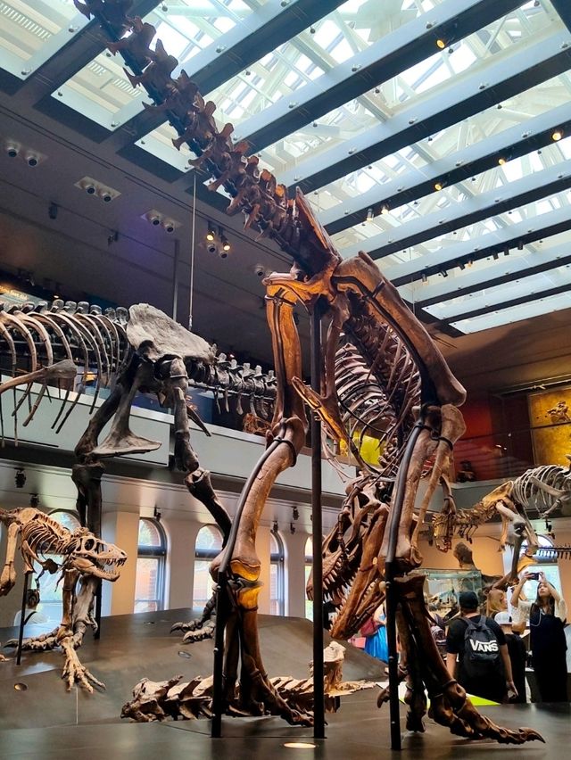 Summer Visit to the Natural History Museum of Los Angeles 🦖🌞
