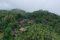 蜀南竹海絕美民宿！賞花踏青挖筍住山野秘境
