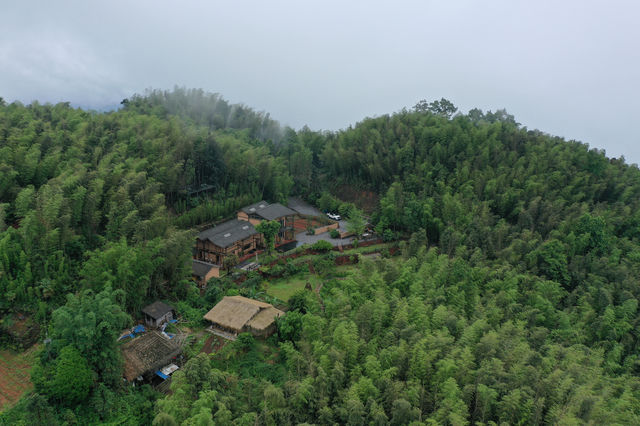 蜀南竹海絕美民宿！賞花踏青挖筍住山野秘境