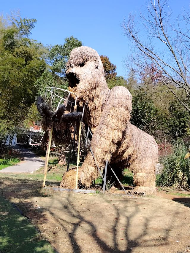 探秘石燕湖，邂逅長沙城郊的山水樂園