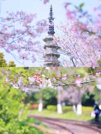 杭州小眾景點‖一日遊打卡避坑攻略