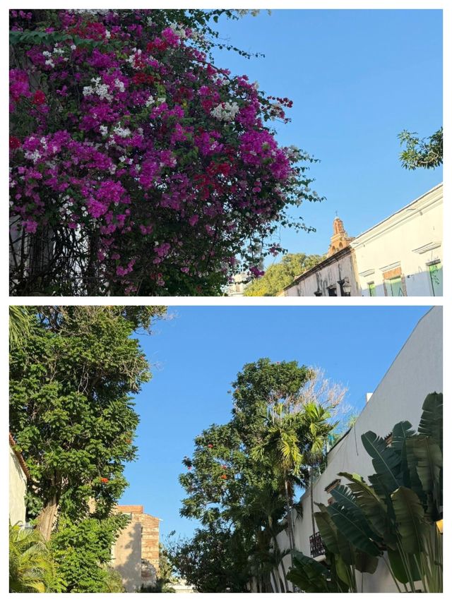 聖多明戈：探索加勒比海的心臟