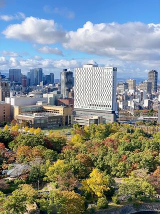 6-Day Japan Hot Spring Tour