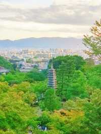 在日本住了8天不想退房