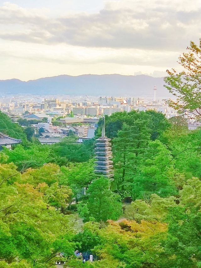 在日本住了8天不想退房