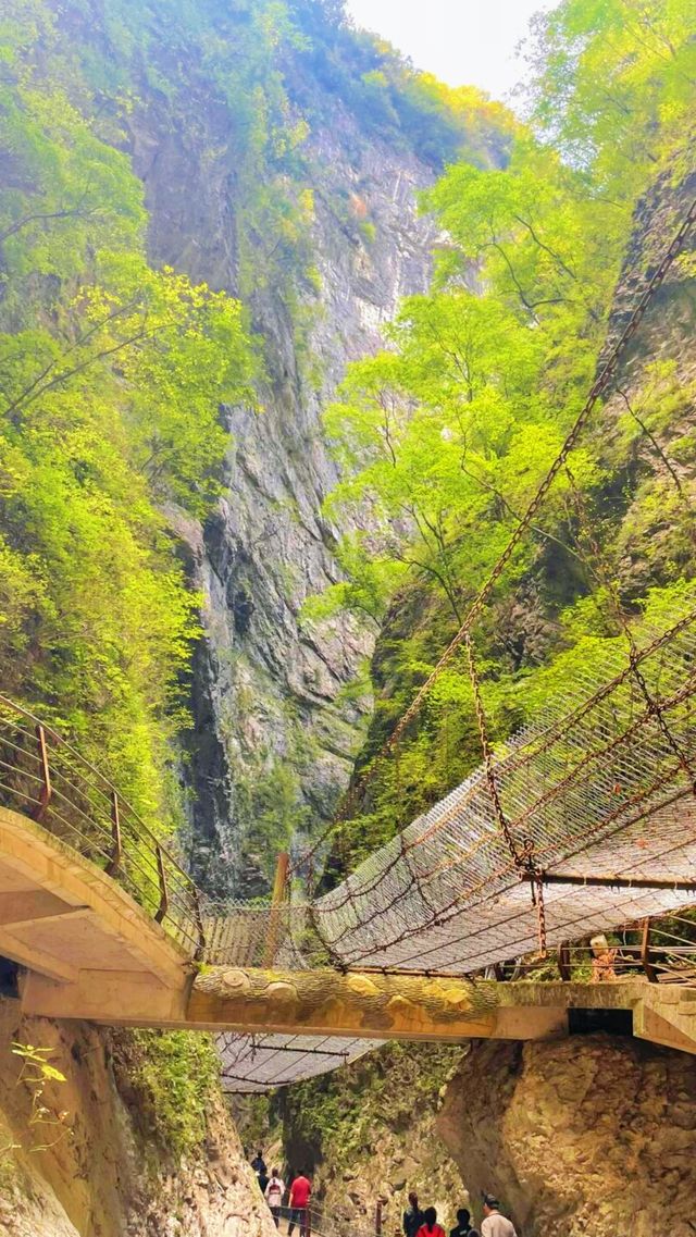 金絲峽的美景就在眼前，您還猶豫什麼？